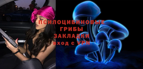 шишки Верхнеуральск