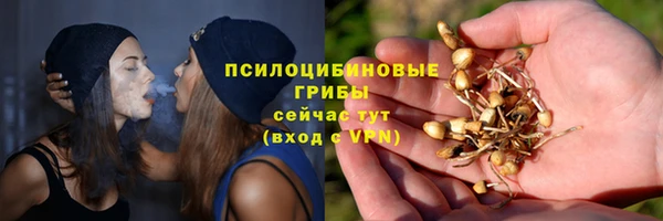 ПСИЛОЦИБИНОВЫЕ ГРИБЫ Верхний Тагил