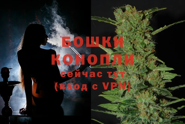 ПСИЛОЦИБИНОВЫЕ ГРИБЫ Верхний Тагил