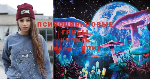 ГАЛЛЮЦИНОГЕННЫЕ ГРИБЫ Бронницы