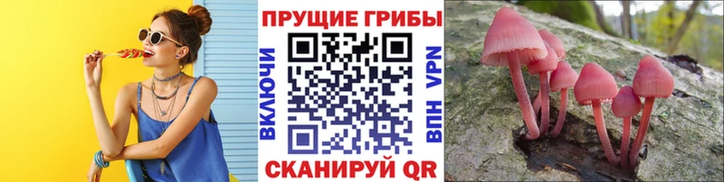 Псилоцибиновые грибы MAGIC MUSHROOMS  дарнет шоп  Катав-Ивановск 